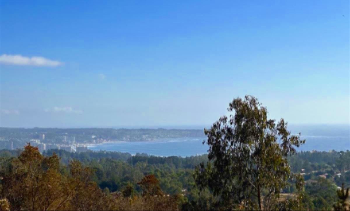 Venta Parcela Algarrobo - Valparaíso