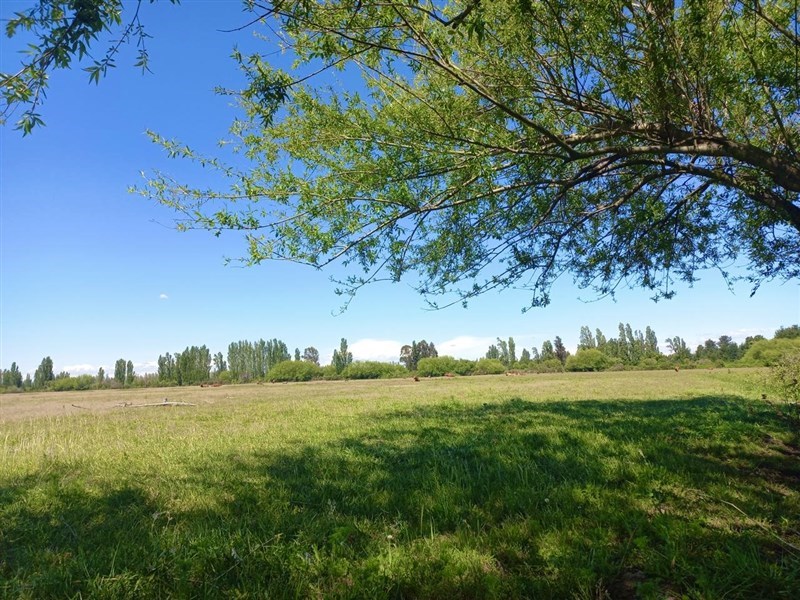 Venta Parcela Los Angeles - Biobío