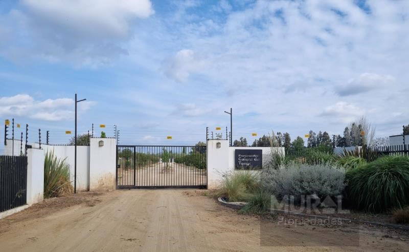 Venta Parcela Calera de Tango - Región Metropolitana