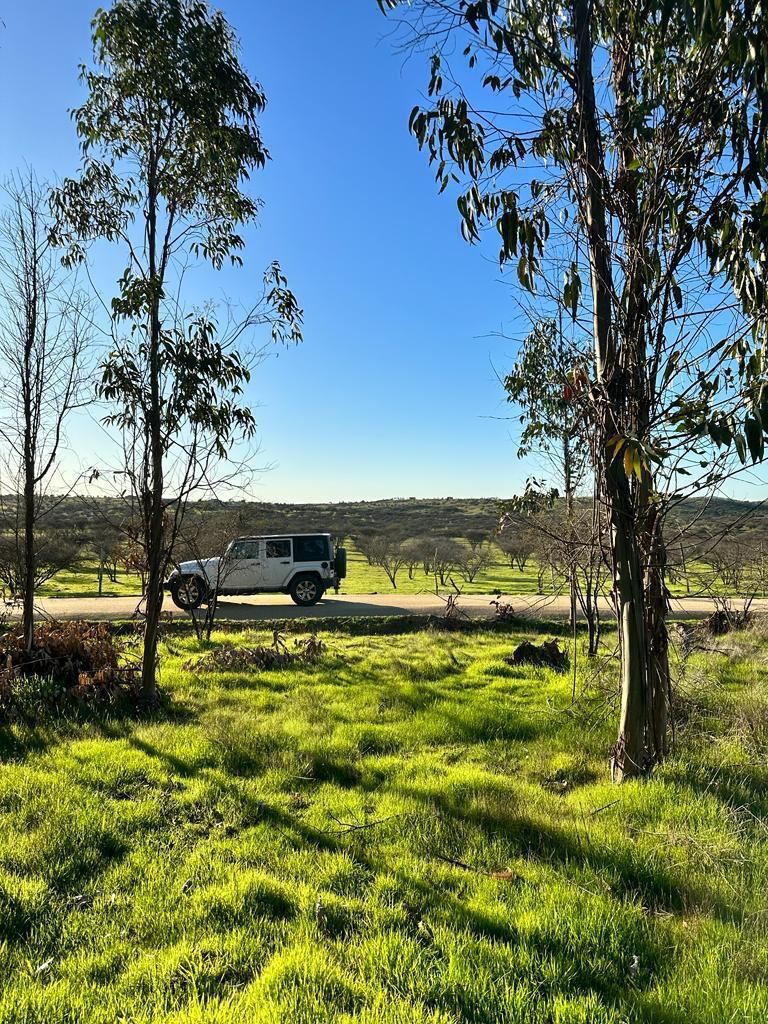 Venta Parcela Marchigüe - O'Higgins