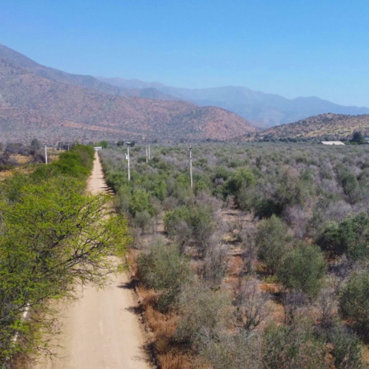 Venta Parcela Tiltil - Región Metropolitana