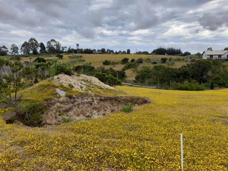 Venta Parcela Algarrobo - Valparaíso