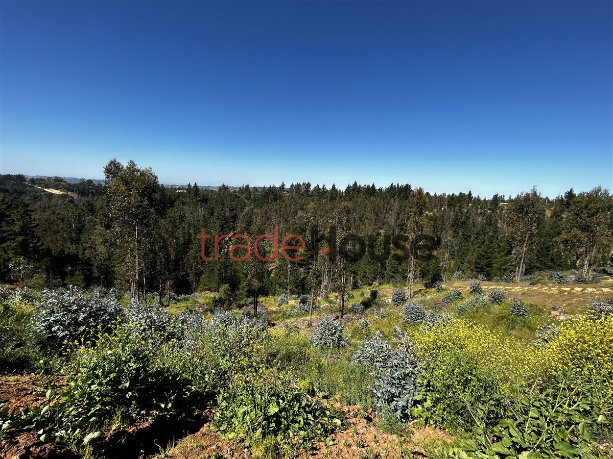 Venta Parcela Navidad - O'Higgins