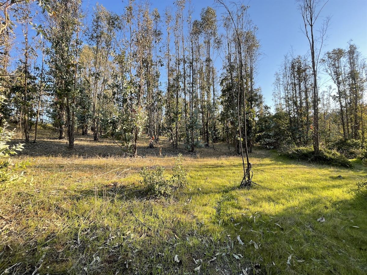 Venta Parcela Santiago - Región Metropolitana