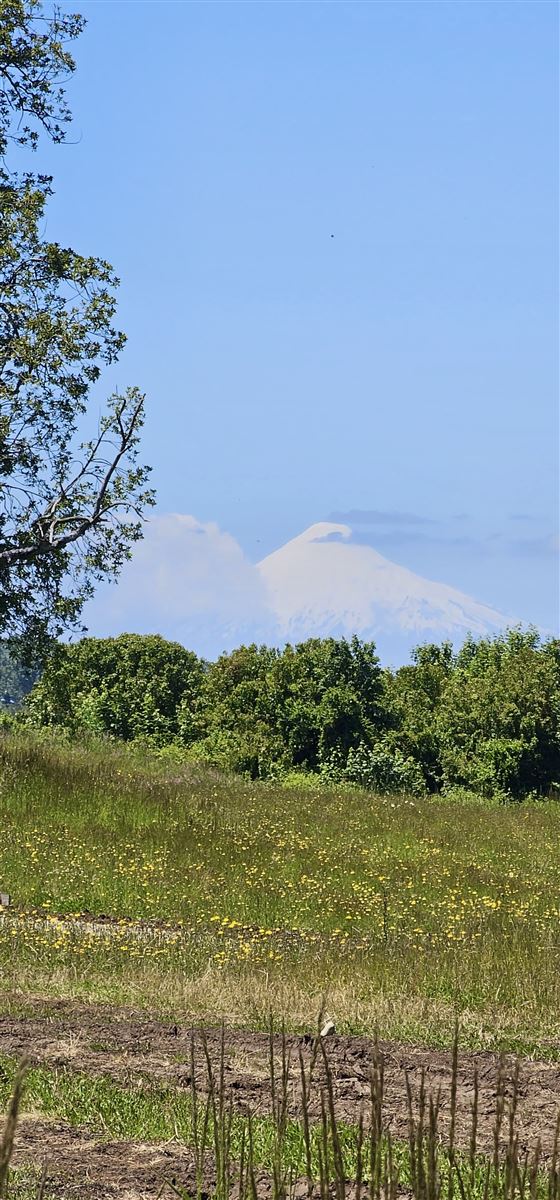 Venta Parcela Osorno - Los Lagos