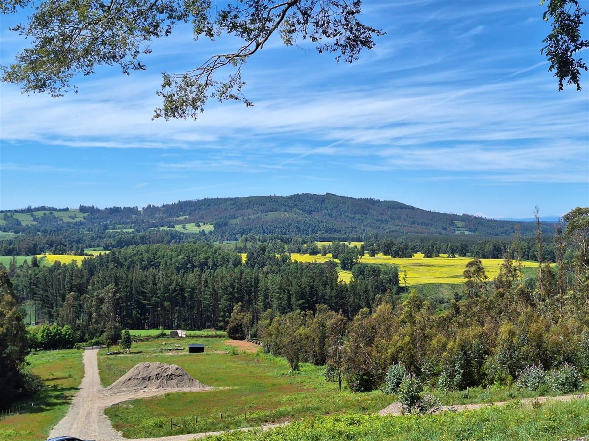 Venta Parcela Villarrica - La Araucanía