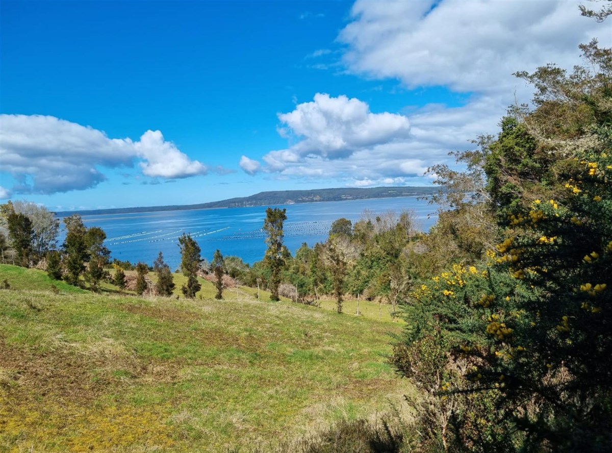 Venta Parcela Queilén - Los Lagos