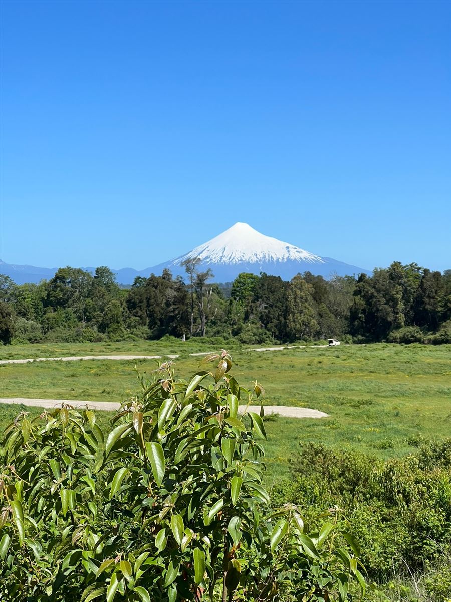 Venta Parcela Puyehue - Los Lagos
