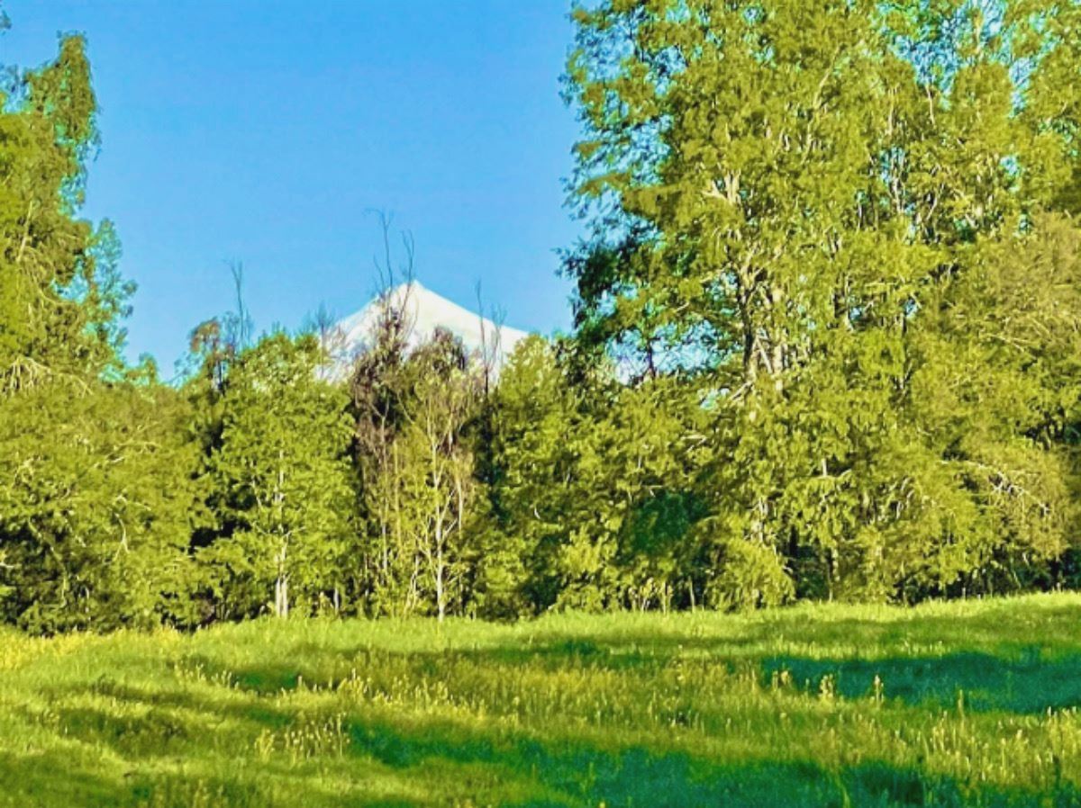 Venta Parcela Villarrica - La Araucanía