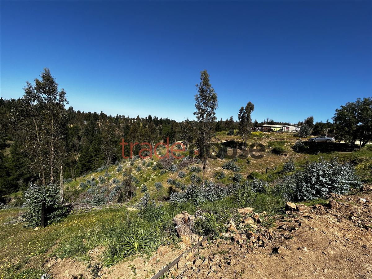 Venta Parcela Navidad - O'Higgins