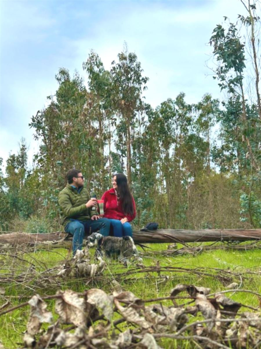 Venta Parcela Vichuquén - Maule