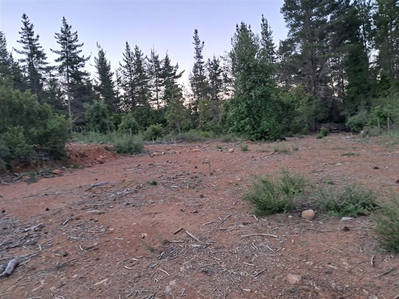 Venta Parcela Parral - Maule