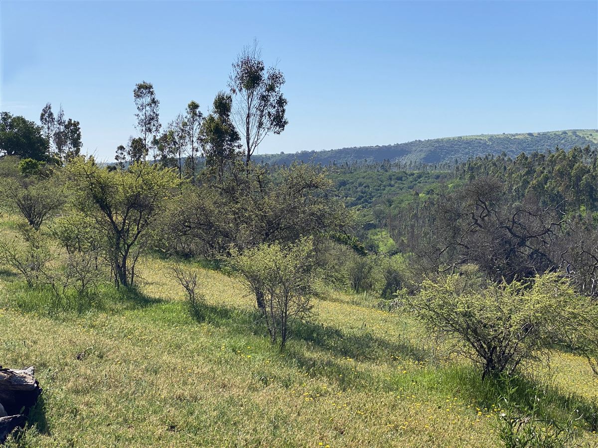 Venta Parcela Santo Domingo - Valparaíso