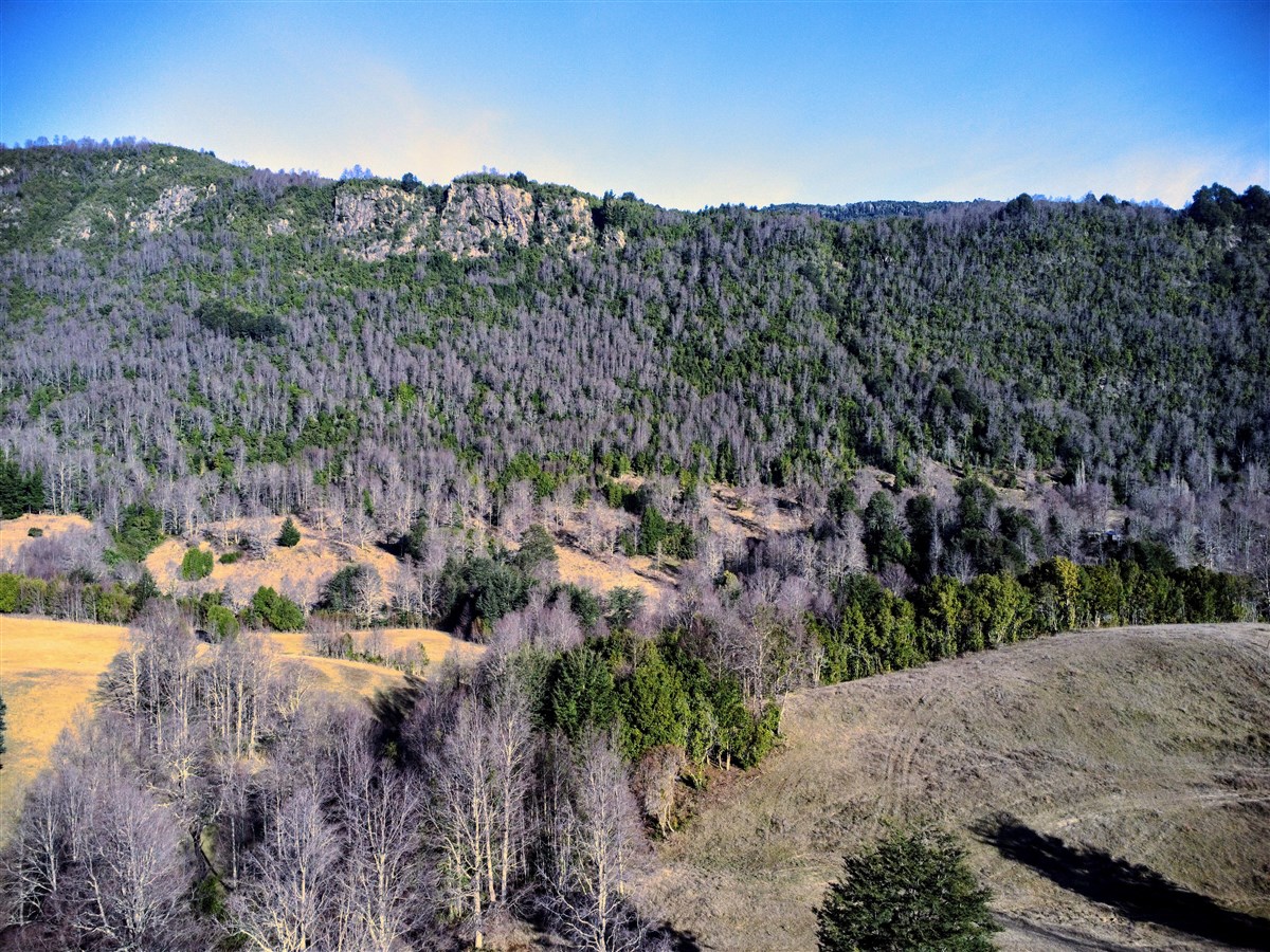 Venta Parcela Pucón - La Araucanía