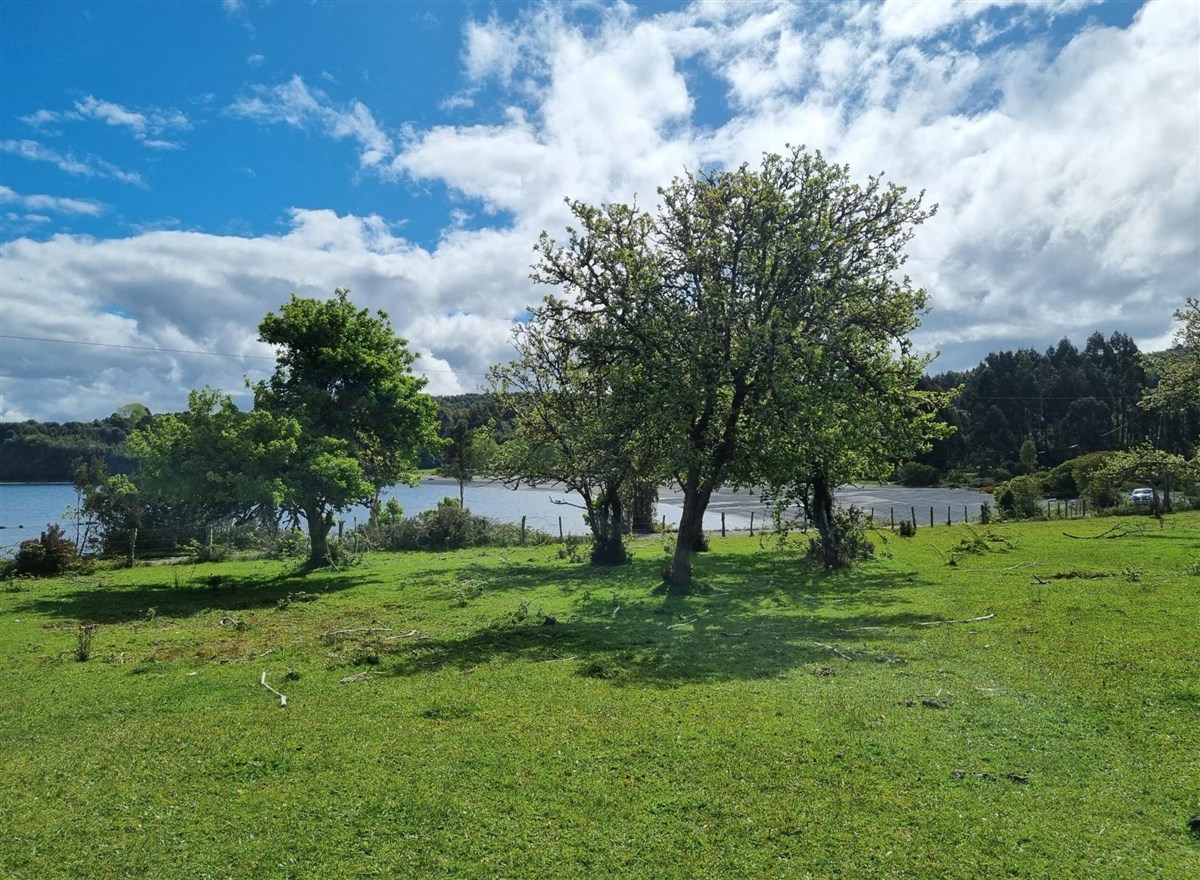Venta Parcela Queilén - Los Lagos