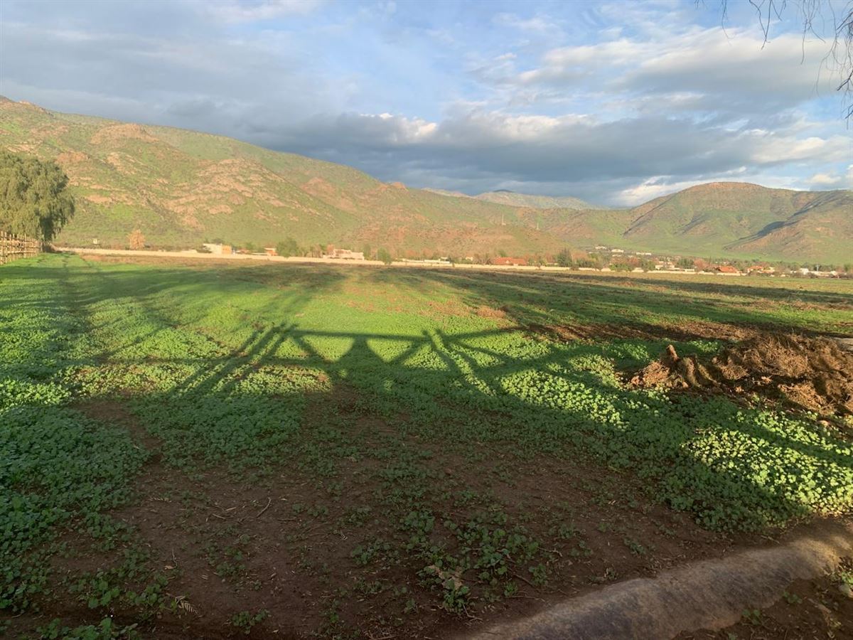 Venta Sitio Colina - Región Metropolitana
