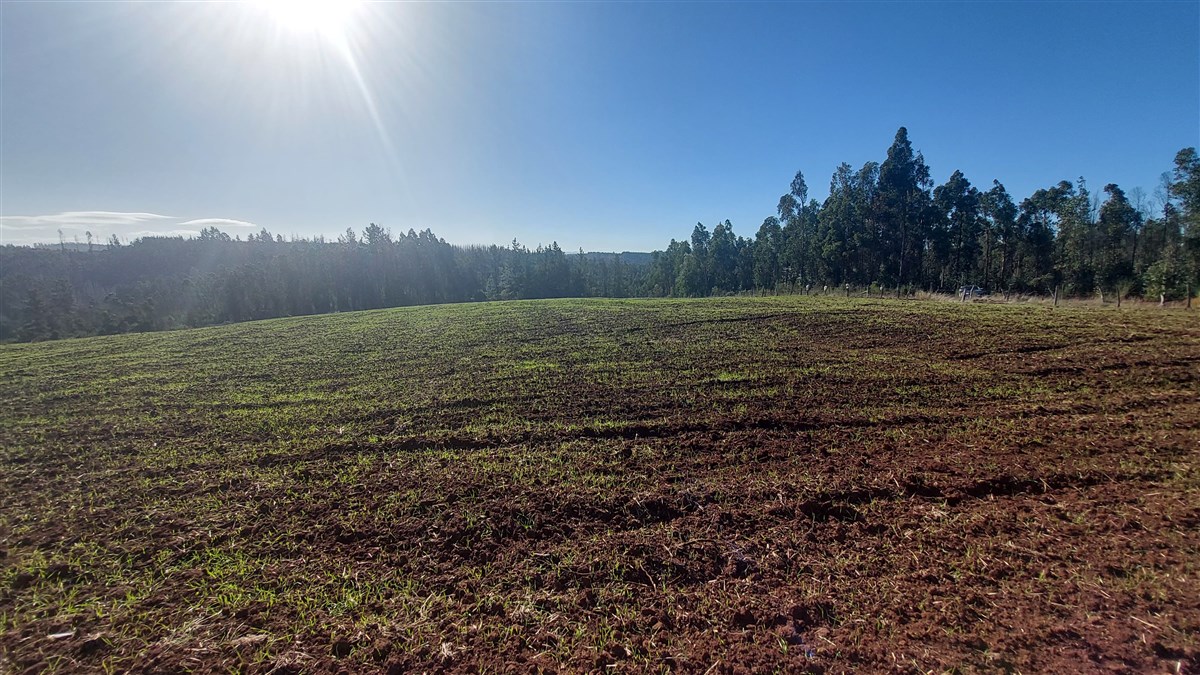Venta Agrícola Nacimiento - Biobío