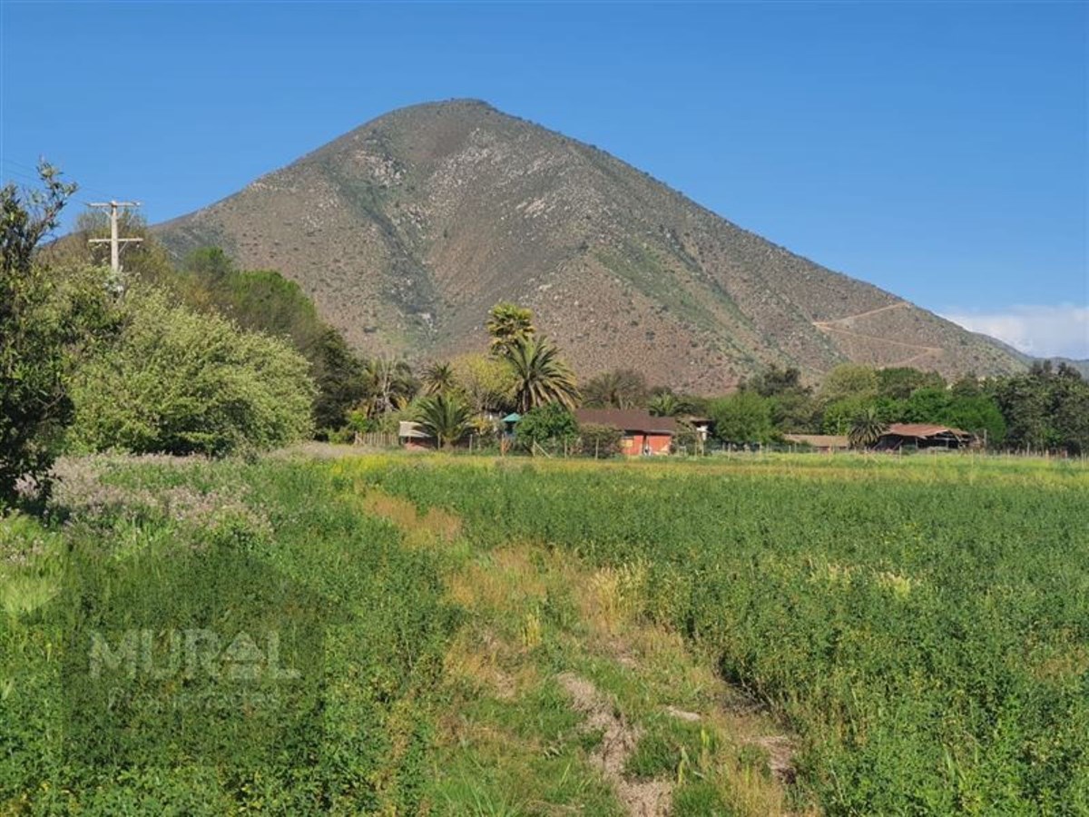 Venta Parcela Isla de Maipo - Región Metropolitana