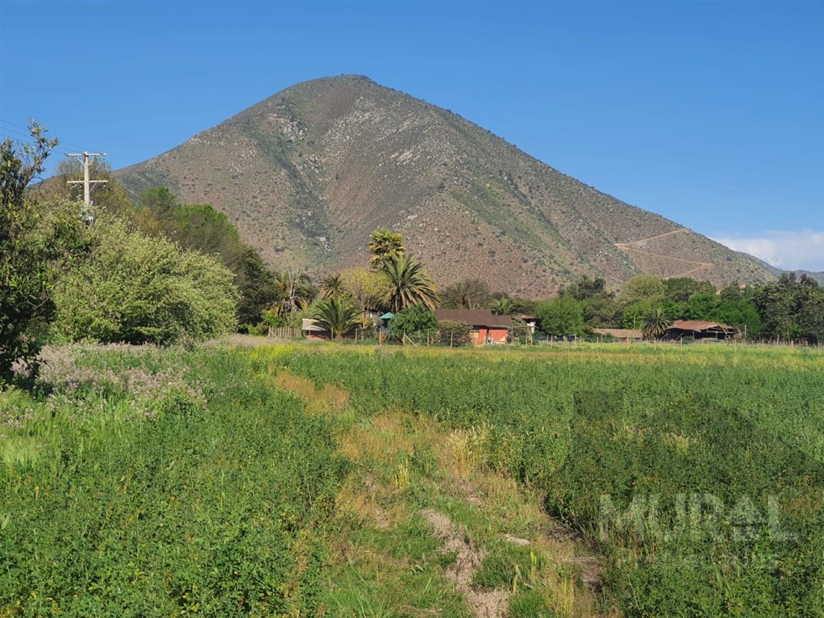 Venta Parcela Isla de Maipo - Región Metropolitana