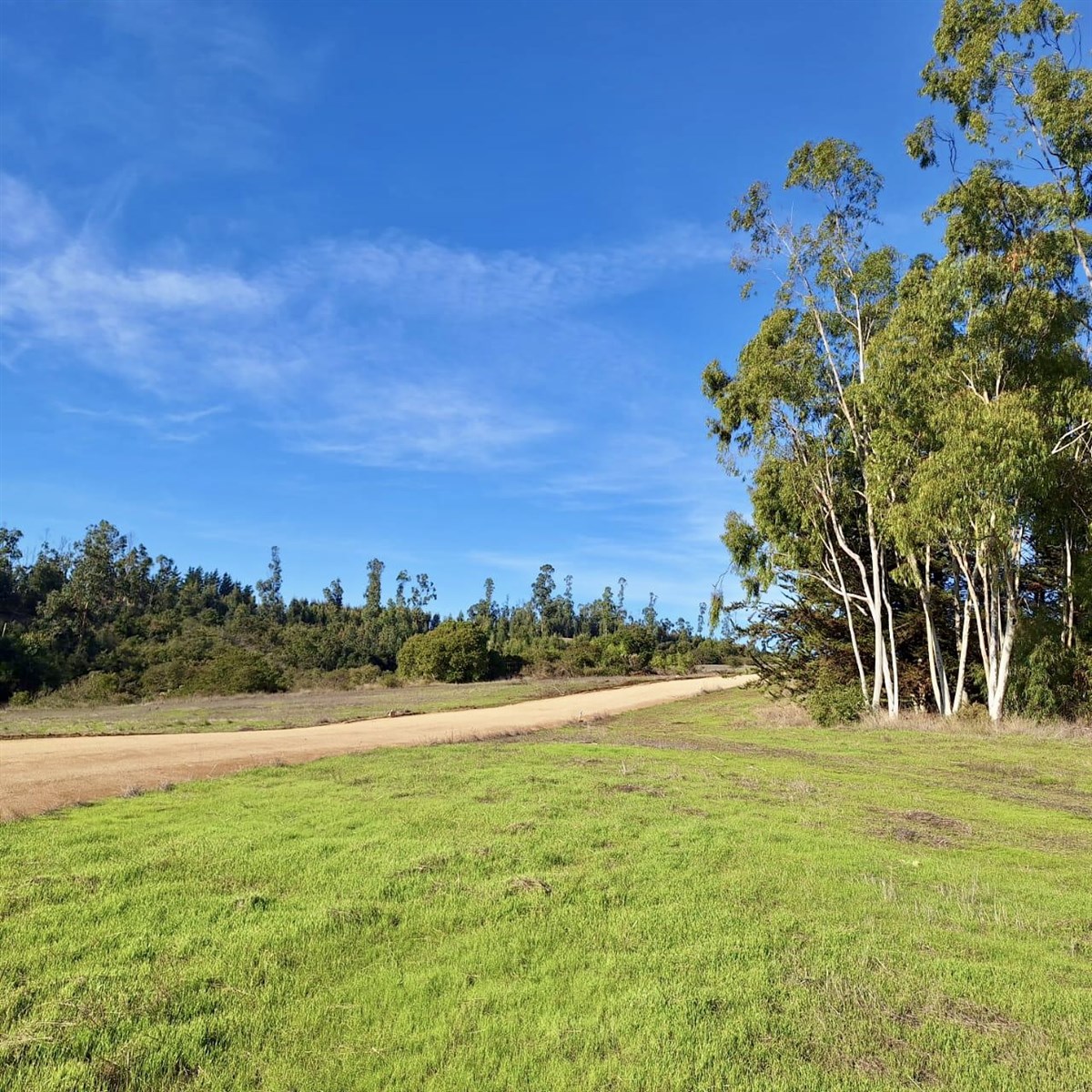 Venta Parcela Santo Domingo - Valparaíso