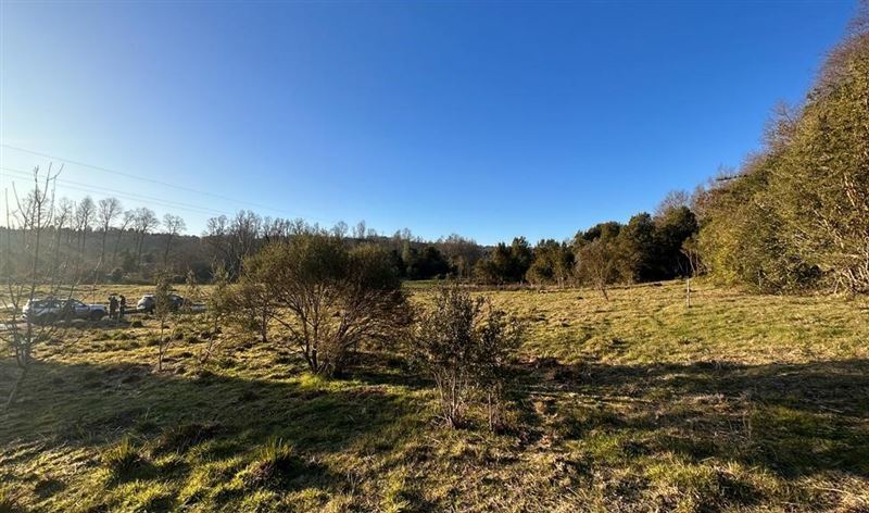 Venta Parcela Panguipulli - Los Ríos