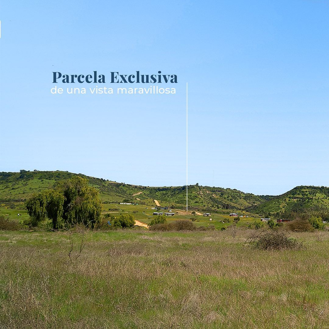 Venta Parcela Litueche - O'Higgins