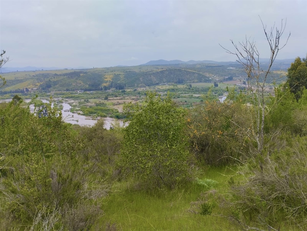 Venta Sitio San Antonio - Valparaíso