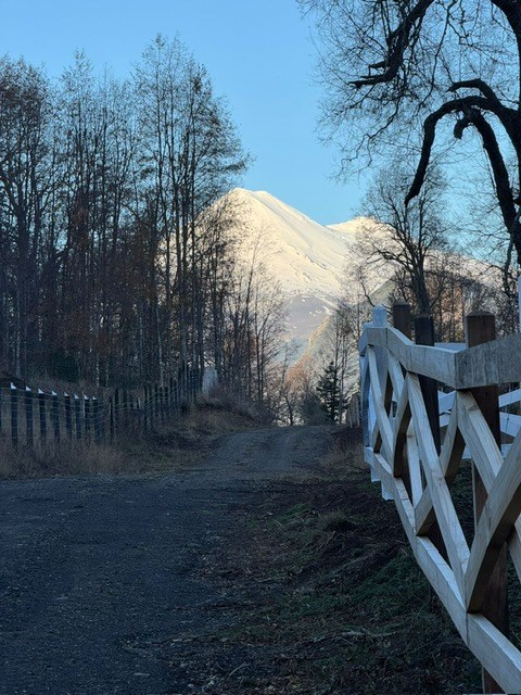 Venta Sitio Vilcún - La Araucanía