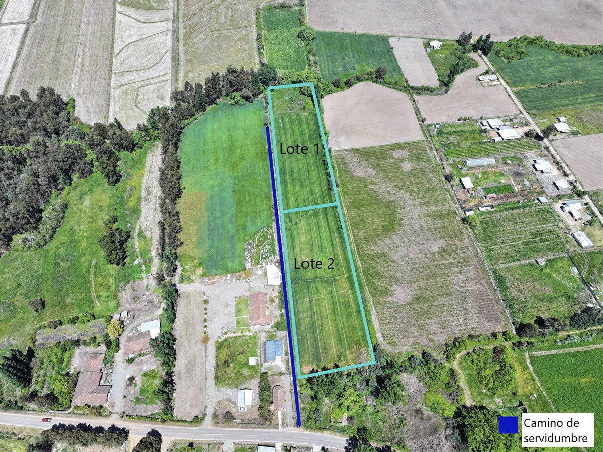 Venta Agrícola Linares - Maule