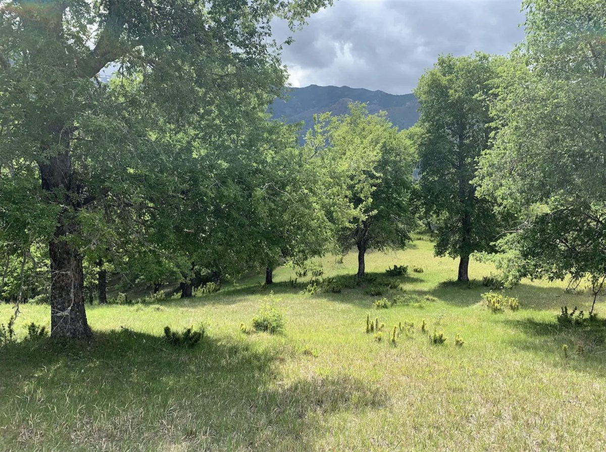 Venta Parcela Lonquimay - La Araucanía