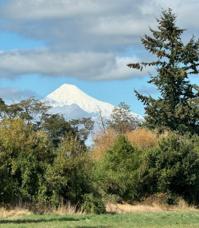 Venta Parcela Frutillar - Los Lagos