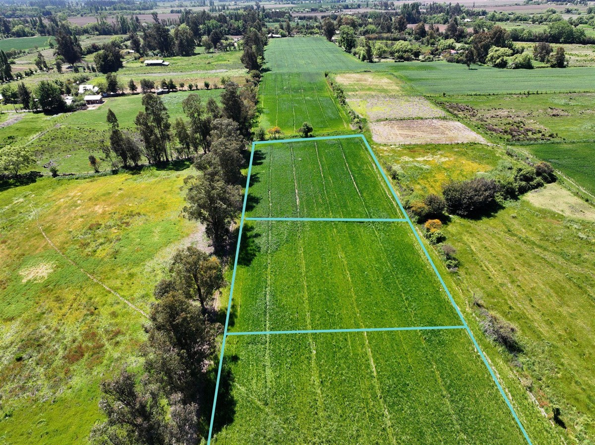 Venta Sitio Linares - Maule