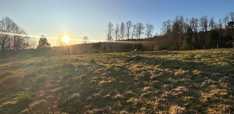 Venta Parcela Panguipulli - Los Ríos