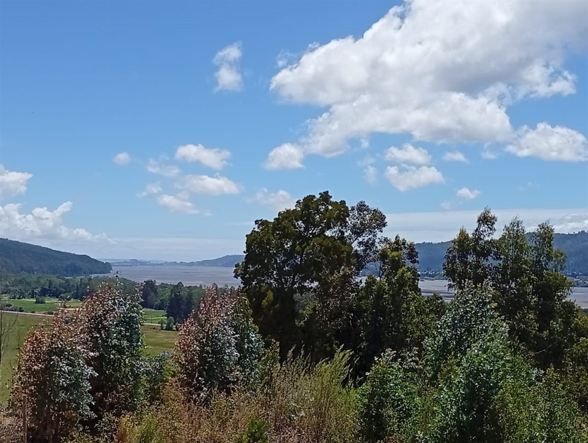 Venta Terreno Coronel - Biobío