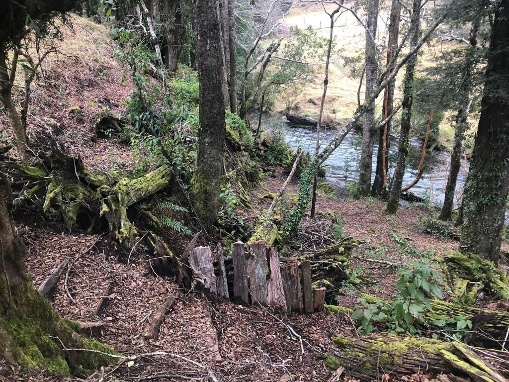 Venta Parcela Pucón - La Araucanía