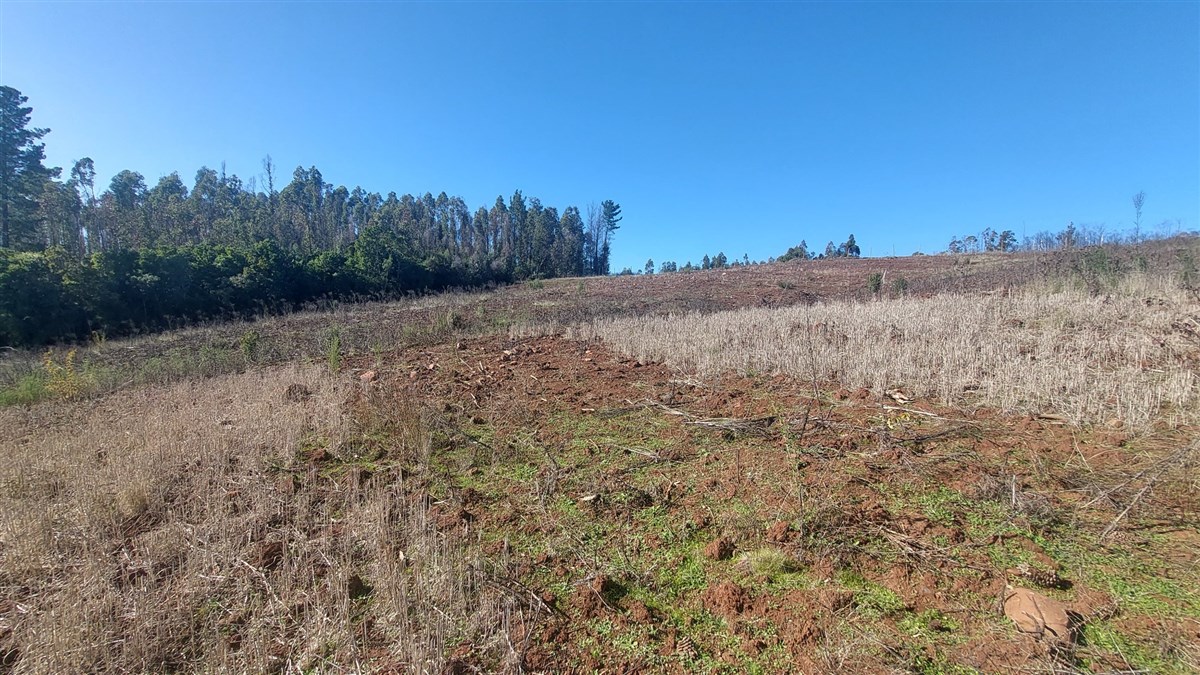 Venta Agrícola Nacimiento - Biobío