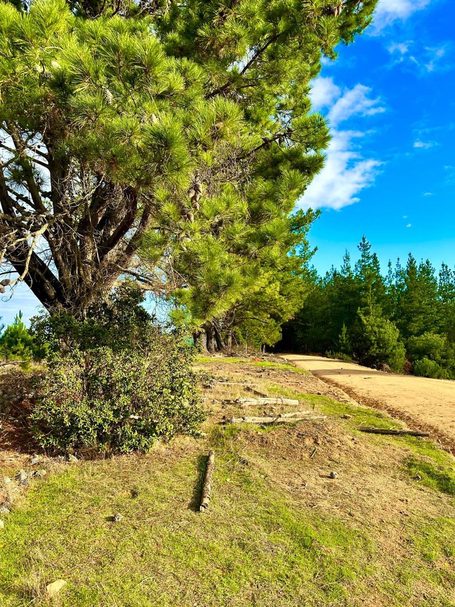 Venta Parcela Vichuquén - Maule