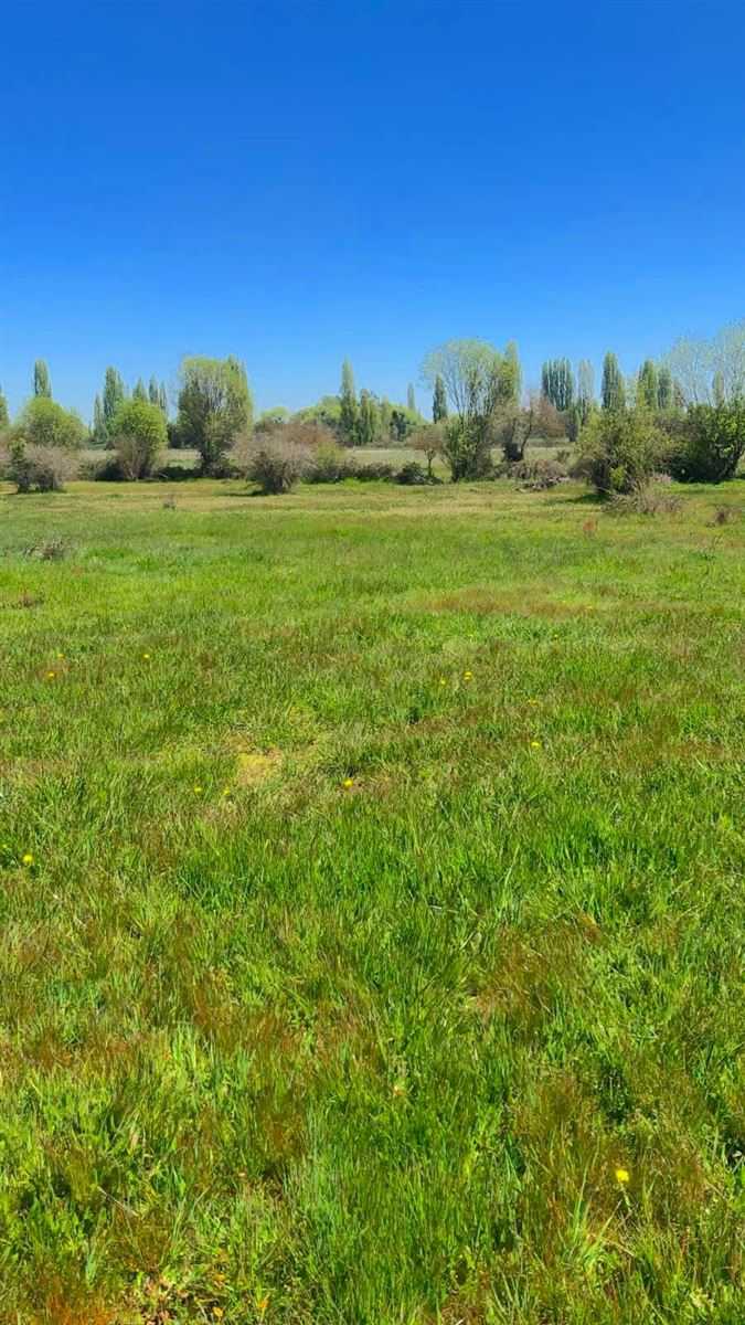 Venta Parcela Longaví - Maule