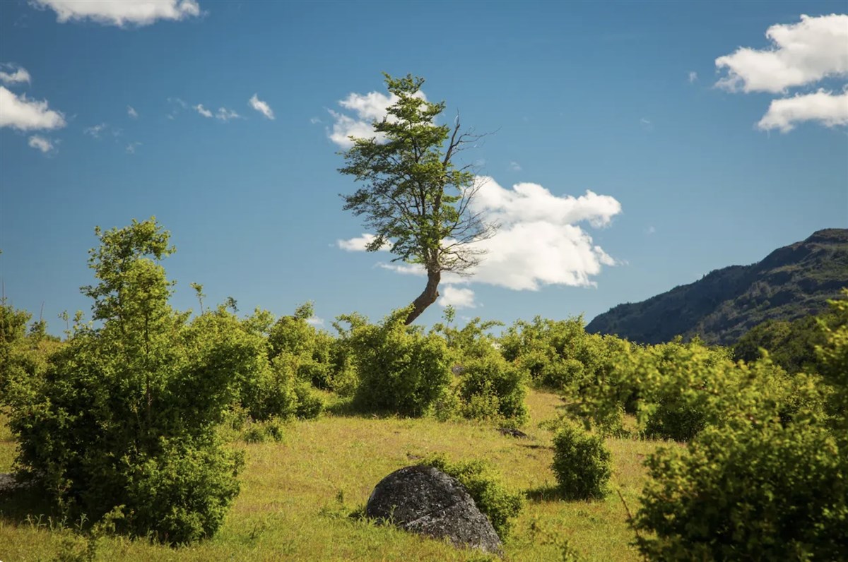 Venta Parcela Cochrane - Aysén