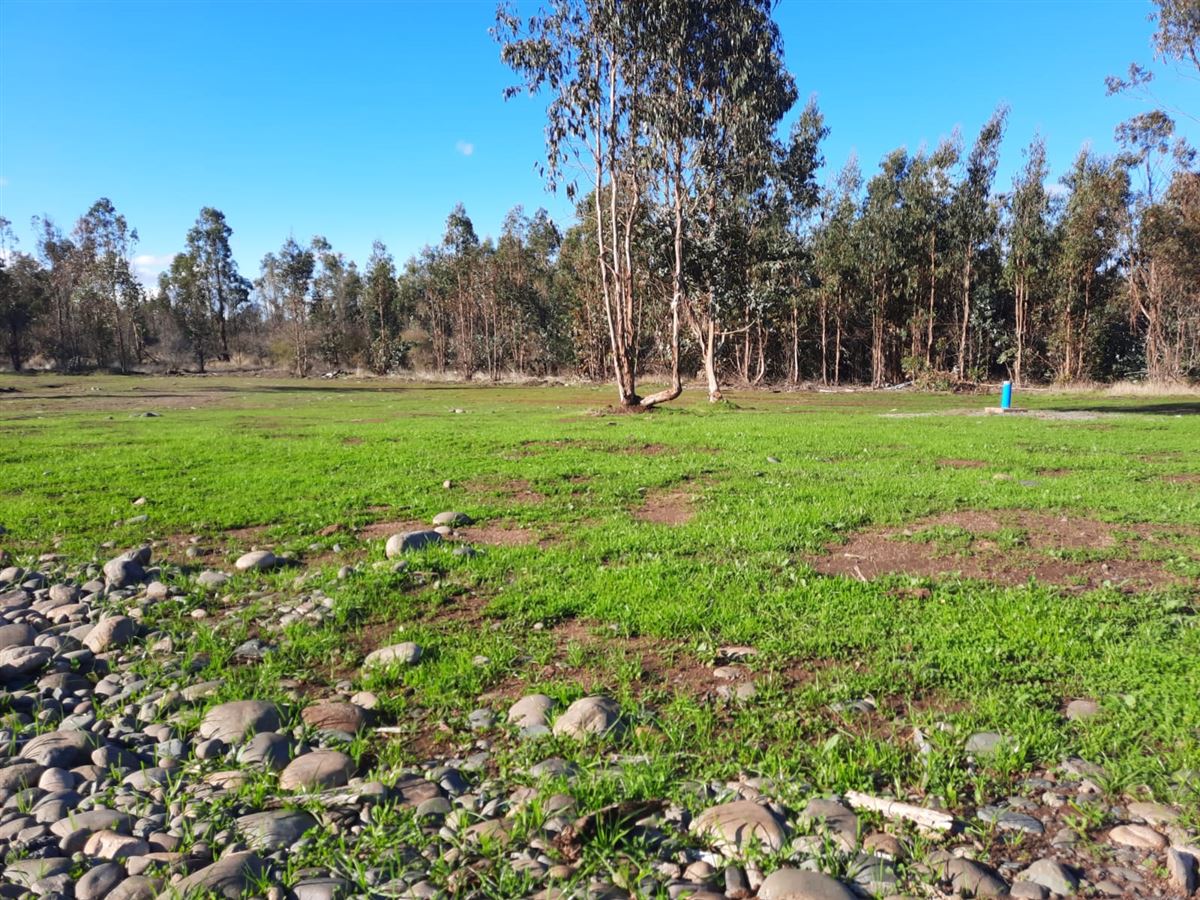 Venta Parcela Chillán - Ñuble