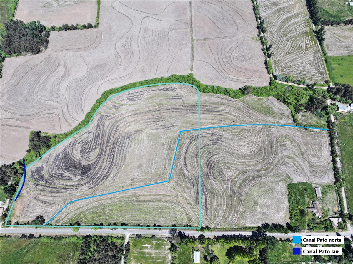 Venta Agrícola Linares - Maule