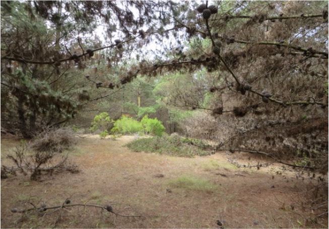 Venta Parcela Valparaíso - Valparaíso