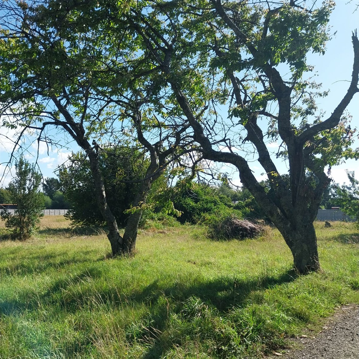 Venta Parcela Pucón - La Araucanía