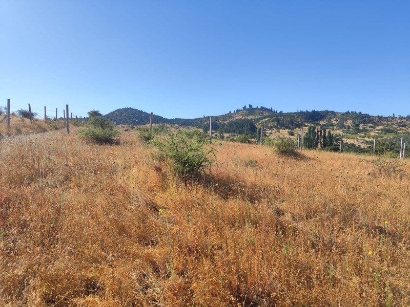 Venta Parcela San Nicolás - Ñuble