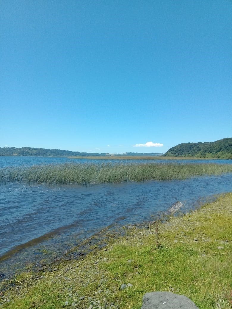 Venta Agrícola Puerto Montt - Los Lagos