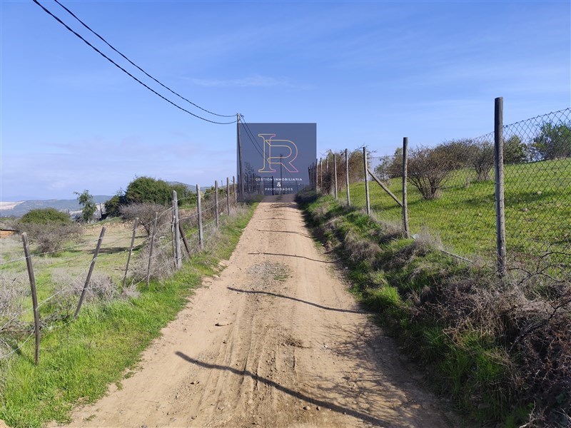 Venta Agrícola Quillota - Valparaíso