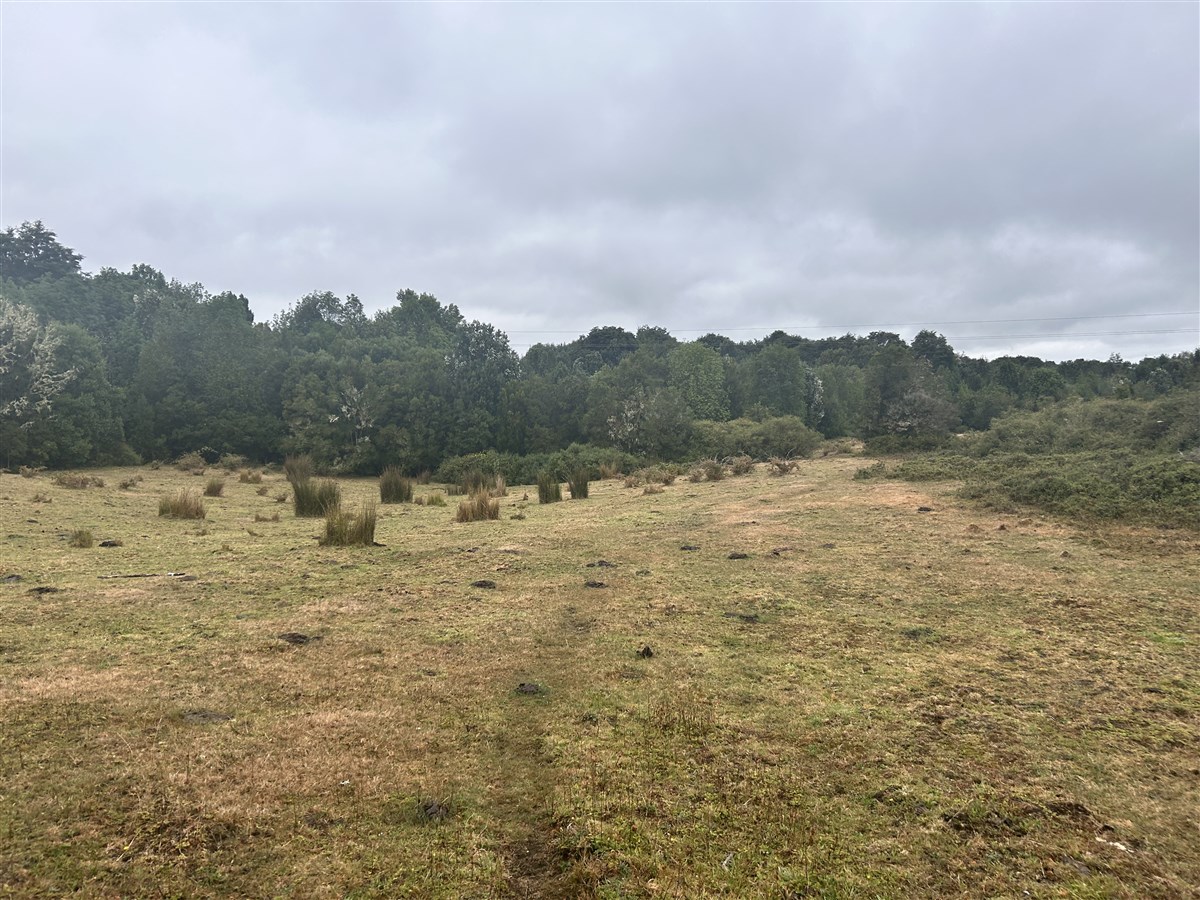 Venta Agrícola Puerto Montt - Los Lagos