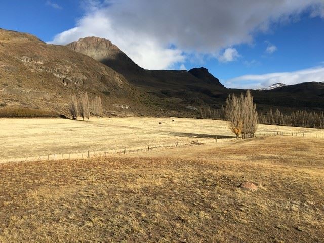 Venta Agrícola Chile Chico - Aysén
