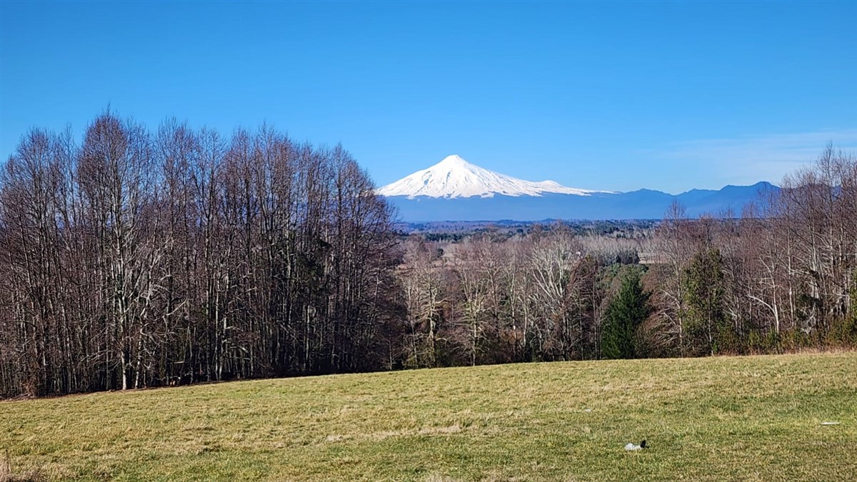 Venta Parcela Villarrica - La Araucanía