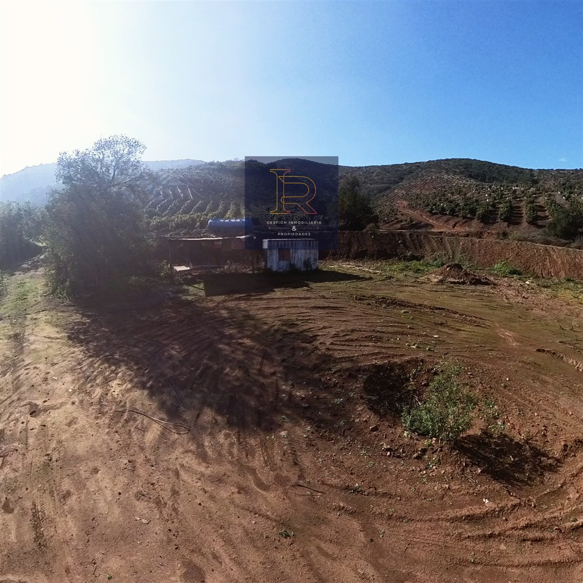 Venta Agrícola Quillota - Valparaíso